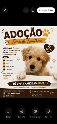 Adoção responsável