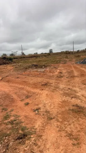 Lote 30x100 preço de ocasião