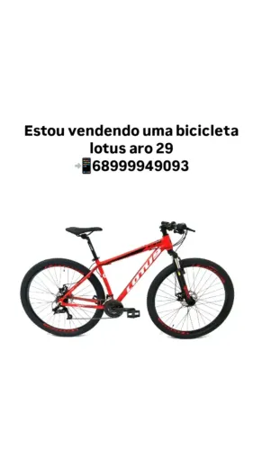 Bicicleta
