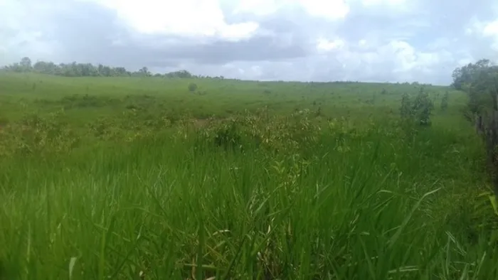 550 alqueires na região de Paragominas Pará por 15 milhões
