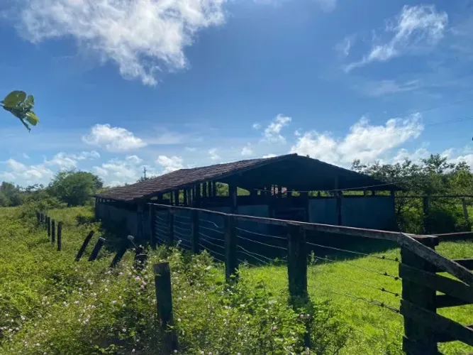 Fazenda em Itapecuru Mirim do Maranhão