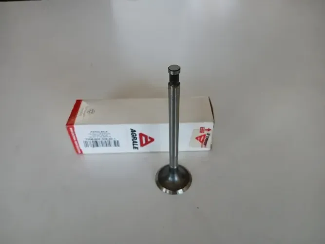Válvula de escape para motor Agrale M790 - *6009