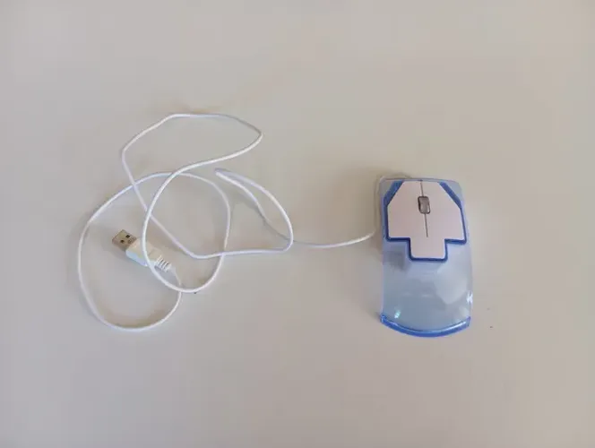 Mouse