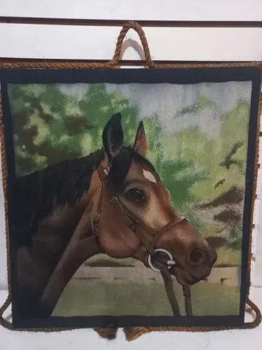 Quadro desenho cavalo 35x60