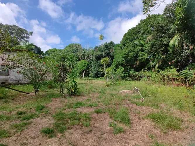 170 hectares há 45 km de Belém por 2 milhões de reais