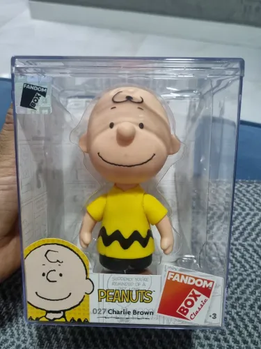 Fandom Box Charlei Brown