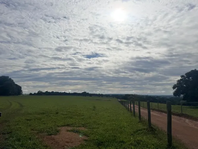 Fazenda 22.5 alq. Em sancrerlandia Goiás 300.000 por alq.