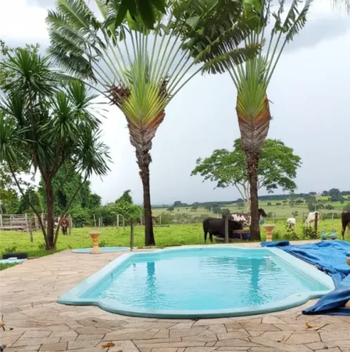 Chácara no Asfalto com piscina