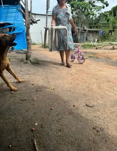 Vendo chacara no distrito 100 por 100