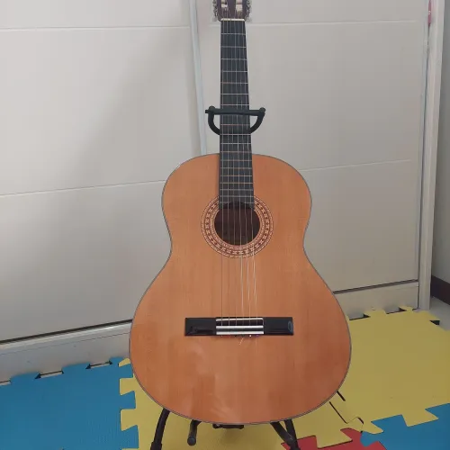 Violão Michael VM50