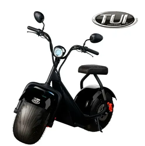 Moto Scooter elétrica TUI    1000 W