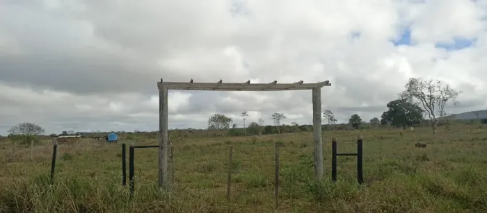 ?Raridade em São Sebastião: Terreno Gigante de 20.000 m²( 2 Hectares )