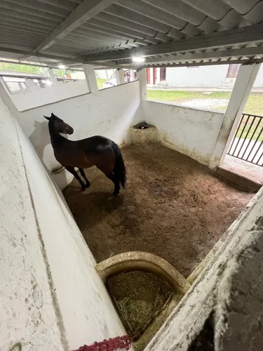 Baias para aluguel em aldeia