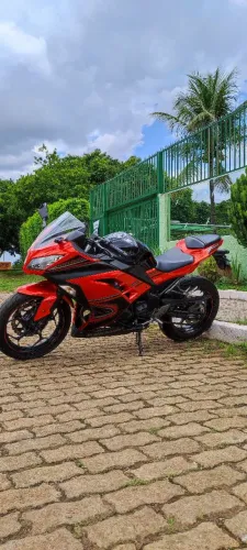 Ninja 300 se