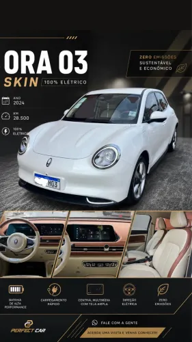 GWM Ora 03 Skin (elétrico) 2024