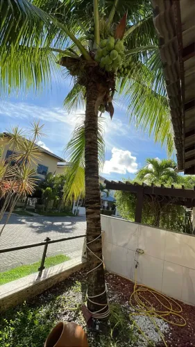  OPORTUNIDADE casa para locação com 4 quartos 3 suítes  com Energia solar e Mobília 