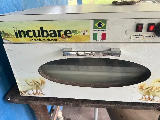 Chocadeira para 70 ovos