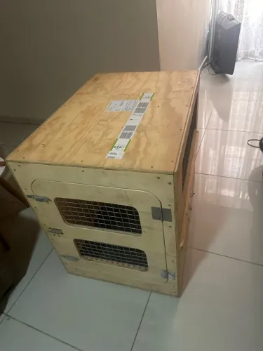 Caixa de transporte internacional (Kennel) IATA CR82