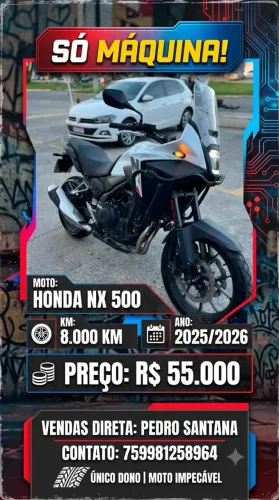NX 500