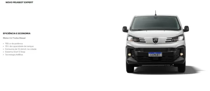 Peugeot Expert Cargo 2.2 Turbo Diesel 2027