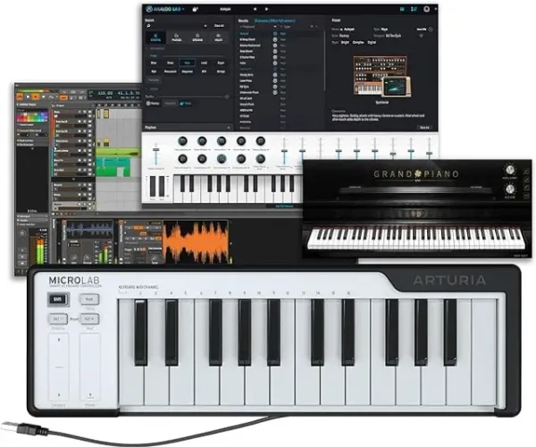 Controlador Arturia Microlab de 25 teclas Midi Usb Mini Teclado Cor Preto