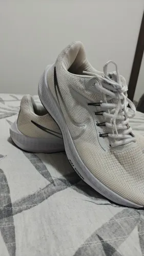 Tênis Nike Pegasus Nº42