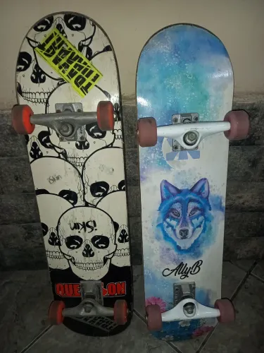 Skates profissional 