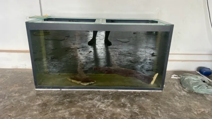 Aquário 120x40x60 