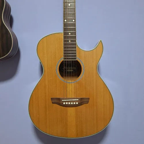 Violão Strinberg