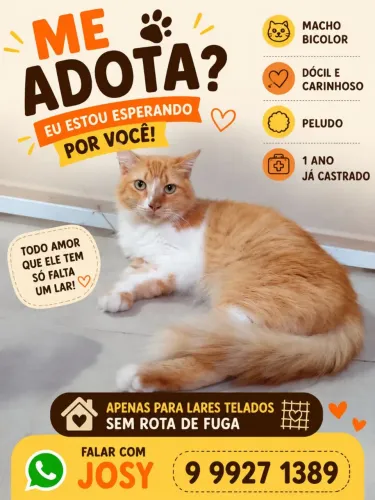 LARANJA COM BRANCO