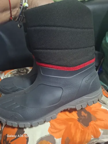 Bota 