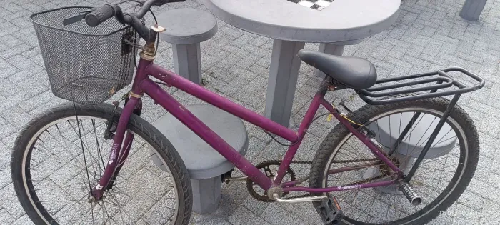 Bicicleta roxa aro 26