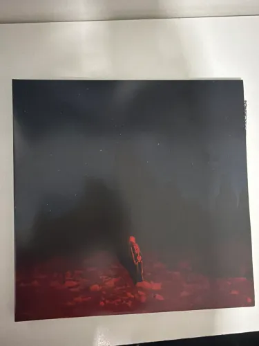 Vendo disco de vinil PUNISHER - Phoebe Bridgers