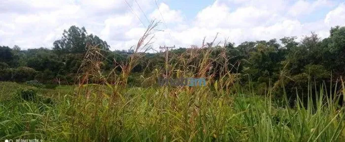 Terreno à venda, 3370 m² por R$ 260.000 - Património Regina - Londrina/PR