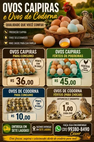 Ovos Caipira