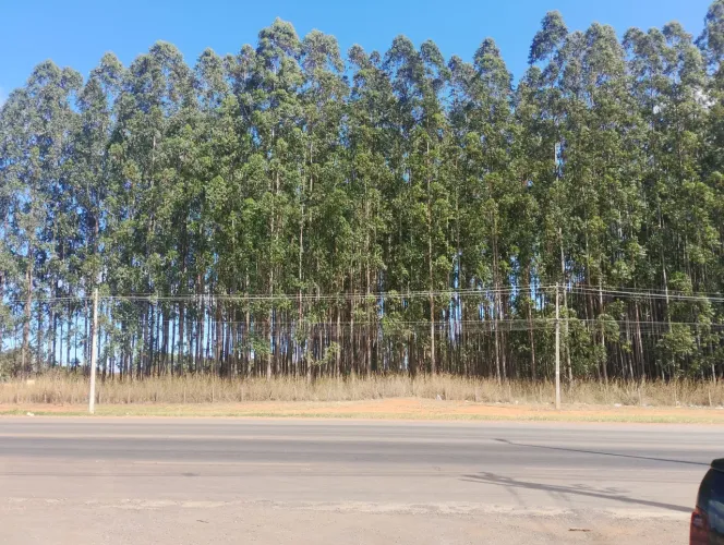 Vendo Lote Incra 9 beira da pista 