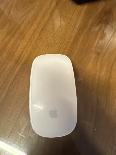 Mouse branco aple