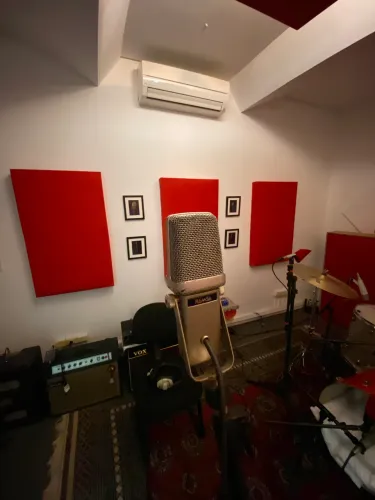 Microfone Ramsa WM8100