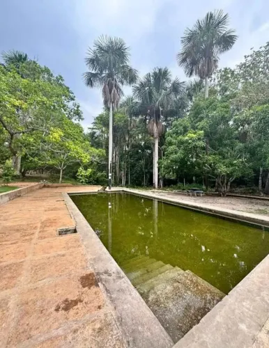 Lote para sítio localizado próximo ao Brejinho