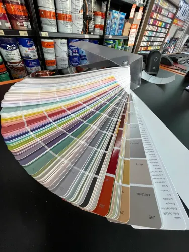 Leque de cores completo 2025  Suvinil 