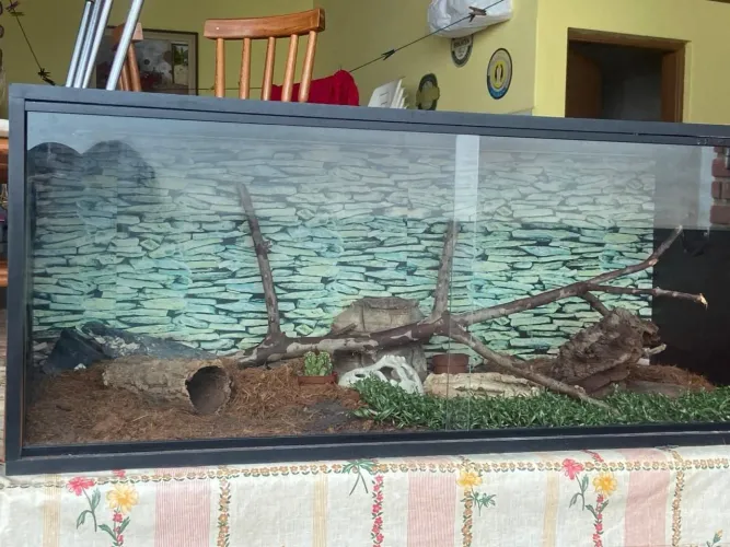 Terrario Completo