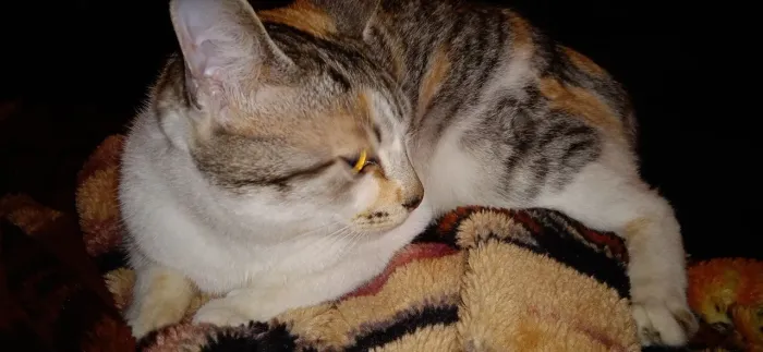 Doa se gata