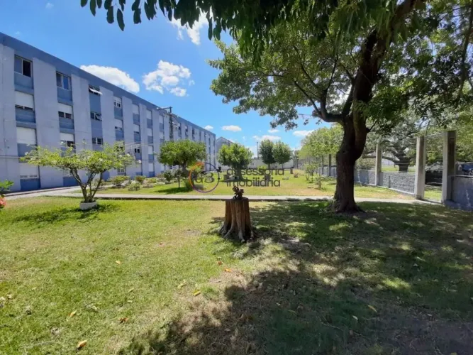 Apartamento 1 dormitórios para alugar Cidade Nova Rio Grande/RS