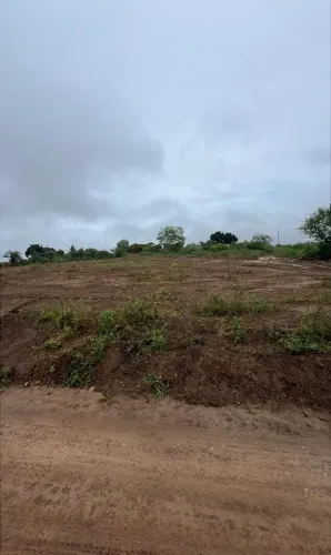 Vende-se terreno para sítio povoado campo redondo serrinha-ba