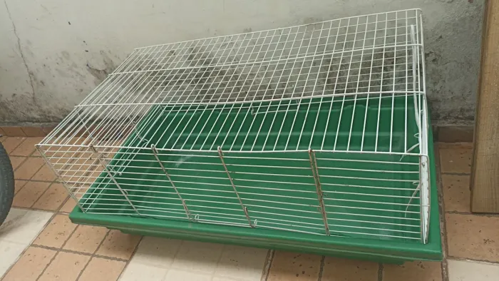 Gaiola para coelho