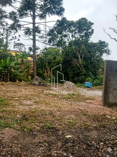 Terreno à venda em São Paulo-SP, Parque Florestal: 1.300m² de oportunidade única!