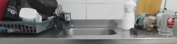 Folgão e Pia