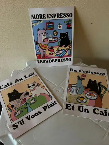 Pôster Gato