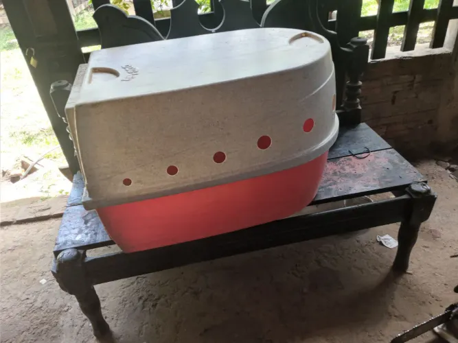 Casa para cachorro grande 