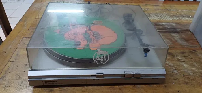 Toca discos de Vinil.
